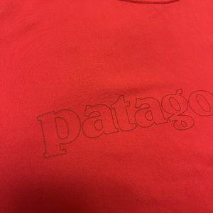 Patagonia Daily Capilene Cool + outline graphic
